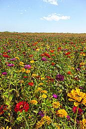 克苏鲁式俯视角动作冒险游戏《死寂之旅》现已登录Steam平台